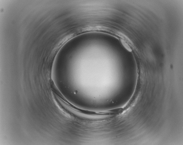 X0000070880849200606191313