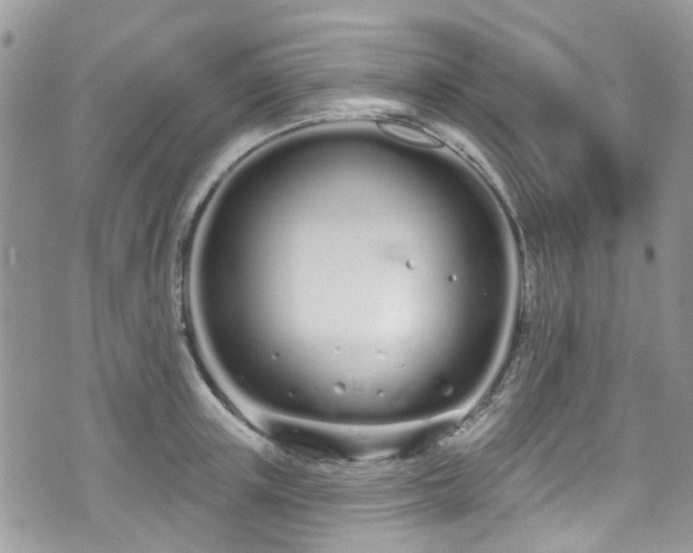 X0000070880851200606191313