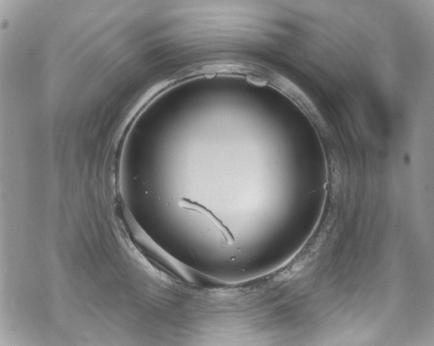 X0000070880852200606191313