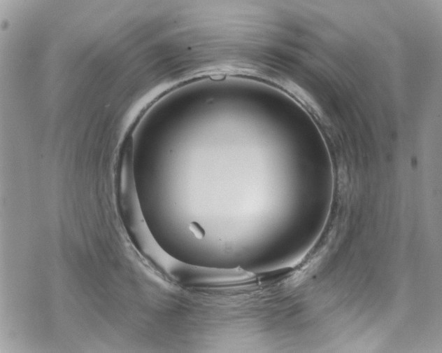 X0000070880854200606191313