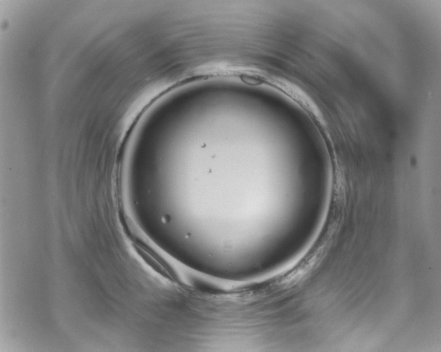 X0000070880855200606191313