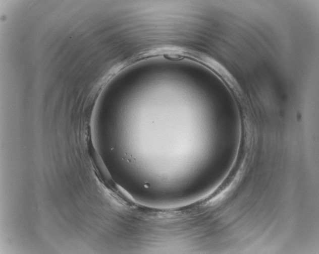 X0000070880857200606191313