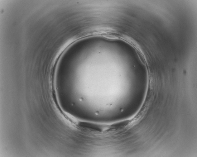 X0000070880859200606191313