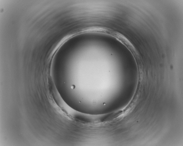 X0000070880860200606191313