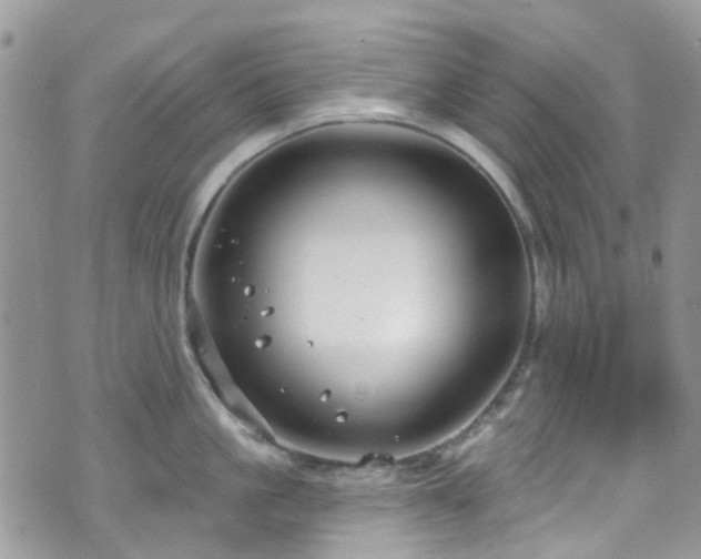 X0000070880861200606191313