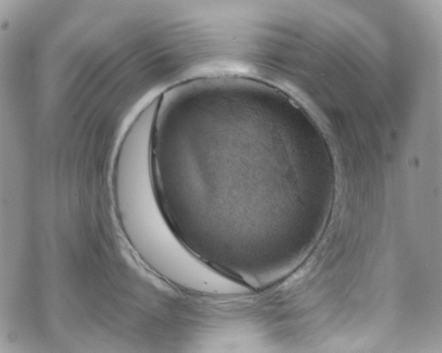 X0000070880864200606191313