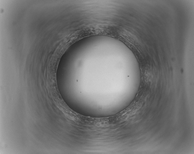 X0000070880865200606191313