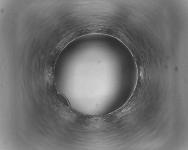 X0000070880867200606191313