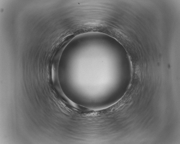 X0000070880868200606191313