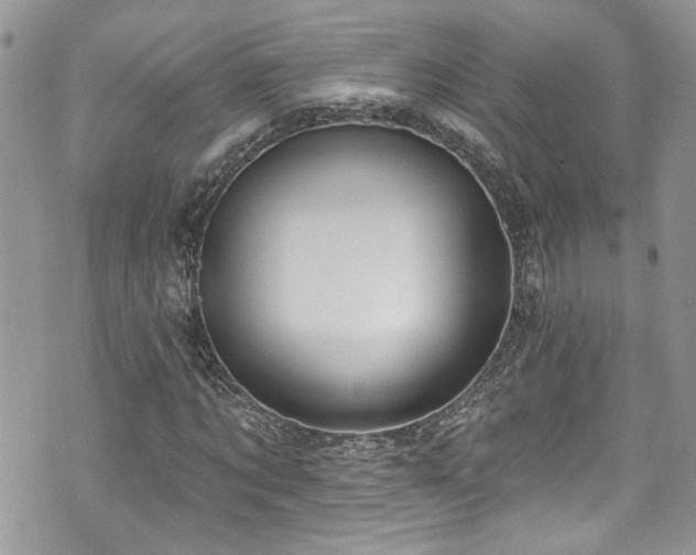 X0000070880869200606191313