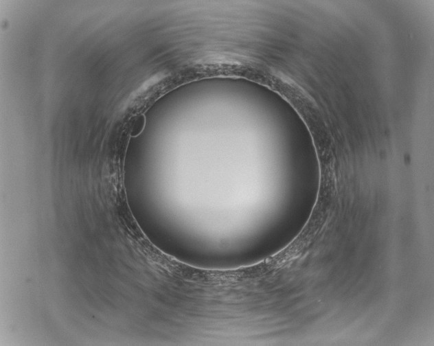 X0000070880870200606191312