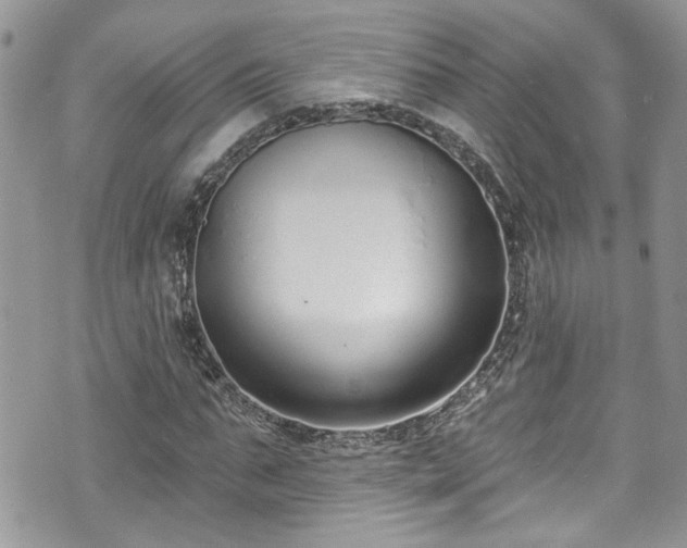 X0000070880871200606191312