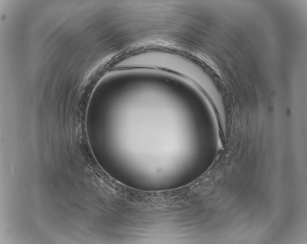 X0000070880872200606191312