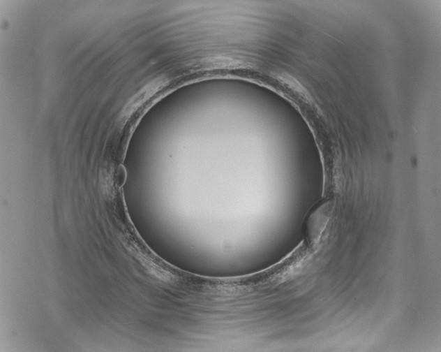 X0000070880873200606191312