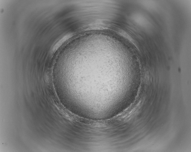 X0000070880874200606191312