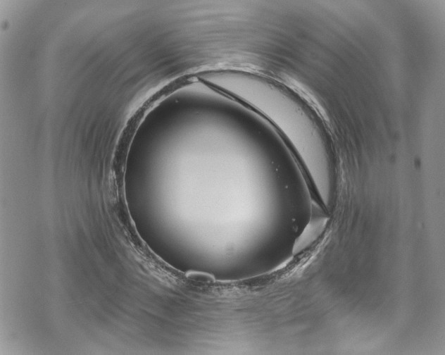 X0000070880876200606191312