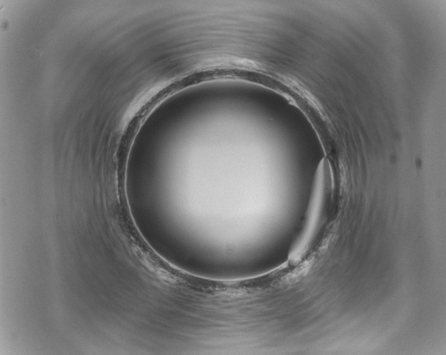 X0000070880877200606191312