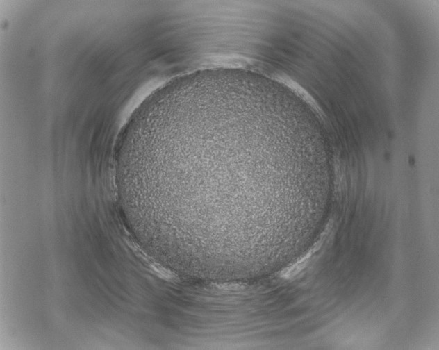 X0000070880878200606191312