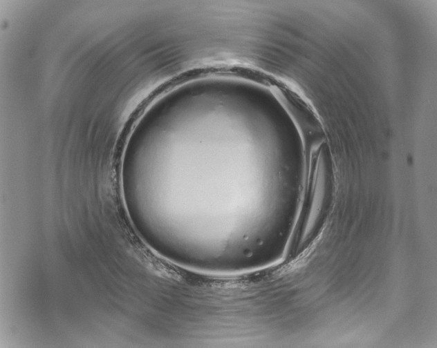 X0000070880879200606191312