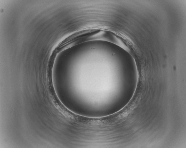 X0000070880880200606191312