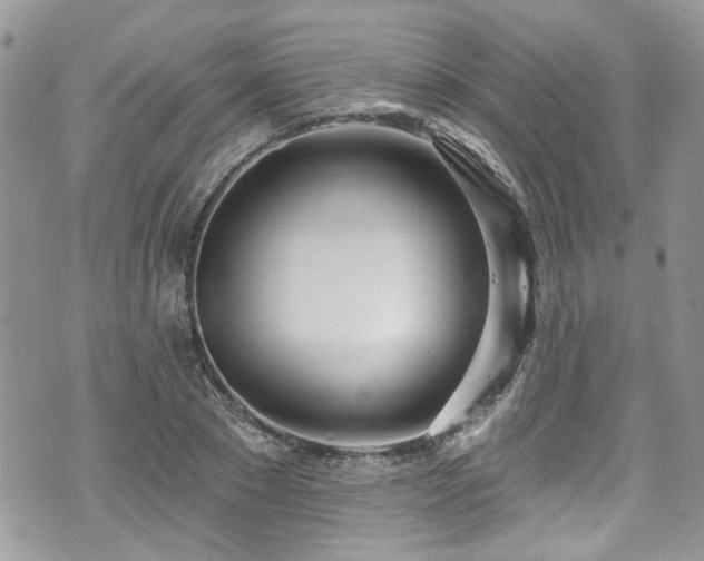 X0000070880881200606191312