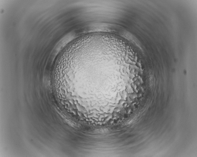 X0000070880882200606191312