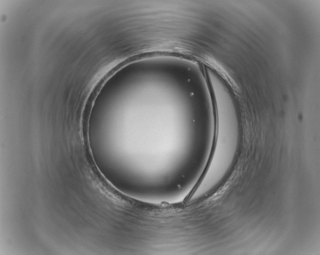 X0000070880884200606191312