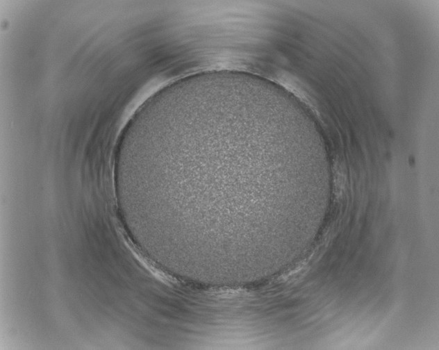 X0000070880886200606191312