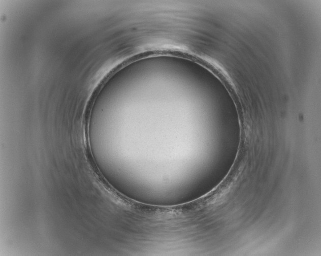 X0000070880887200606191312