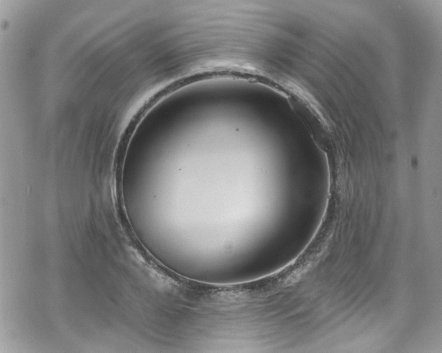 X0000070880888200606191312