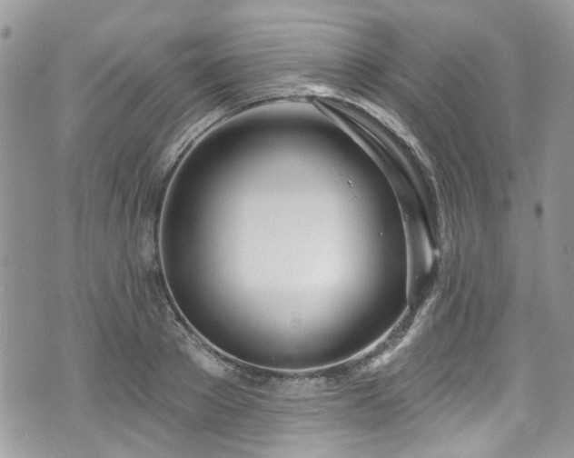 X0000070880889200606191312