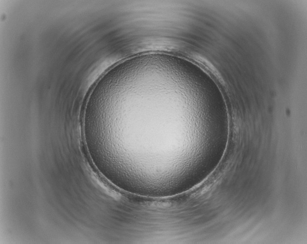 X0000070880890200606191312