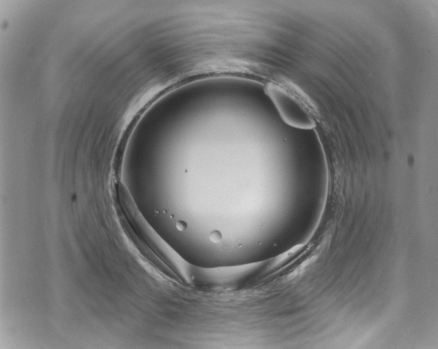 X0000070880893200606191312