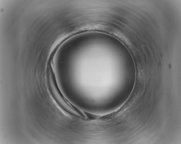 X0000070880894200606191312