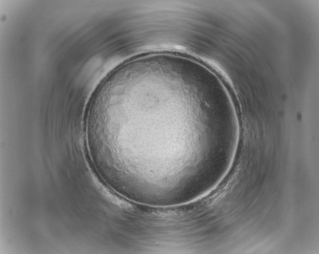 X0000070880895200606191312