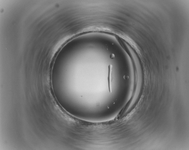 X0000070880896200606191312