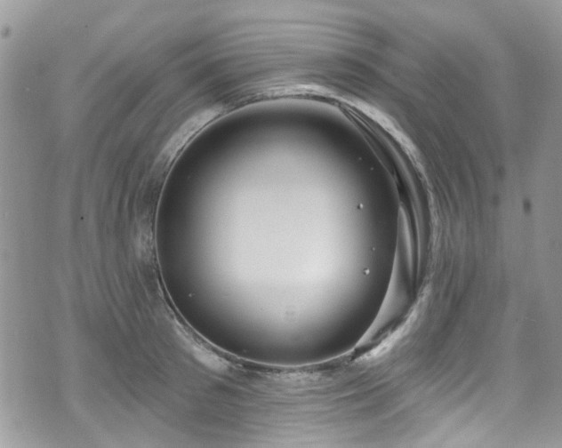 X0000070880897200606191312