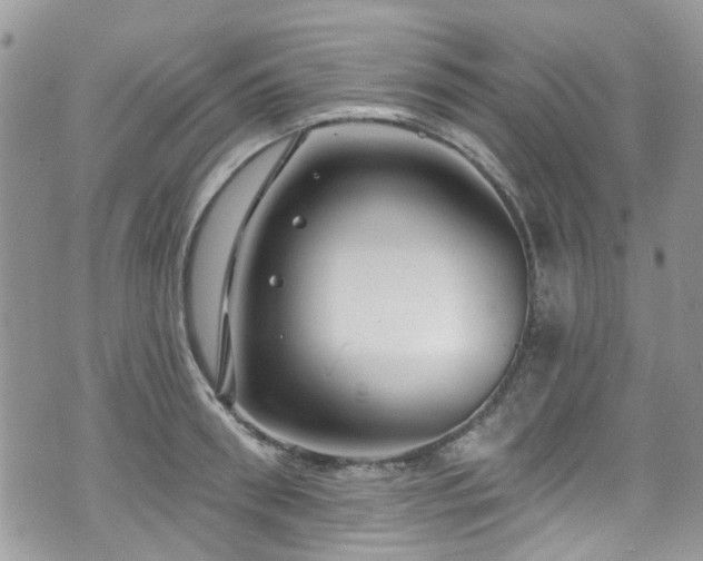 X0000070880898200606191312