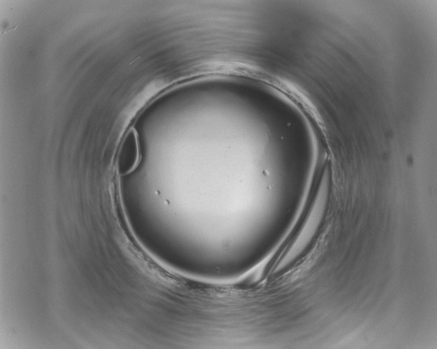 X0000070880899200606191312