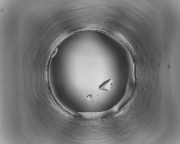 X0000070880900200606191312