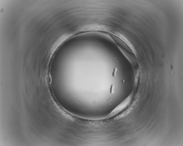 X0000070880901200606191312