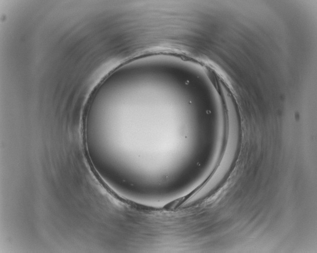 X0000070880902200606191312