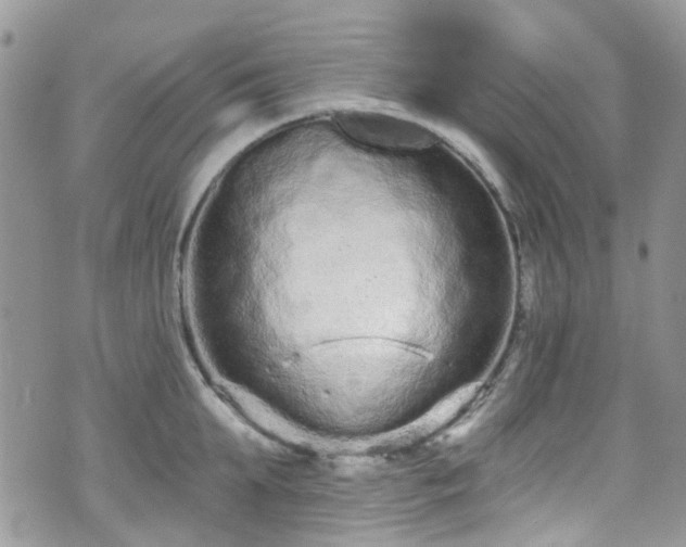 X0000070880903200606191312