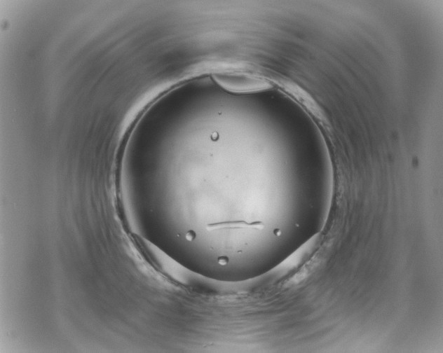 X0000070880904200606191312