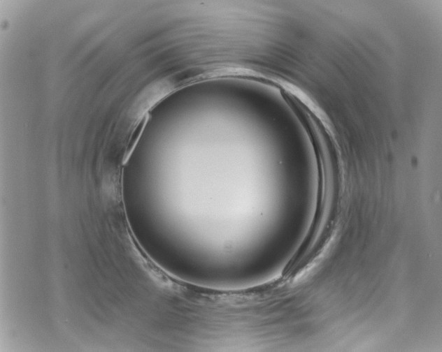 X0000070880905200606191312