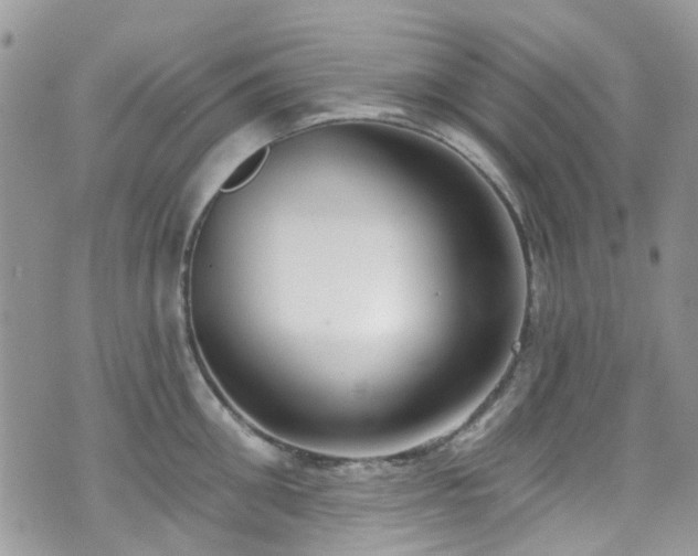 X0000070880906200606191312