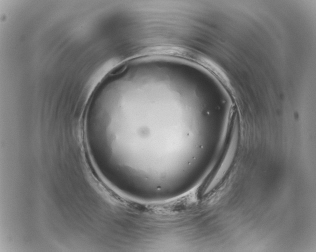 X0000070880907200606191312