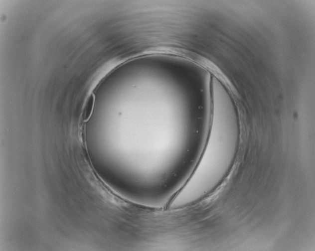 X0000070880908200606191312