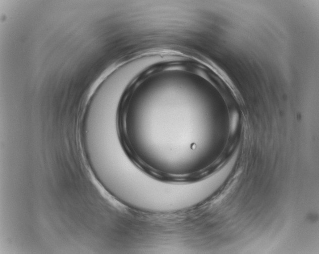 X0000070880909200606191312