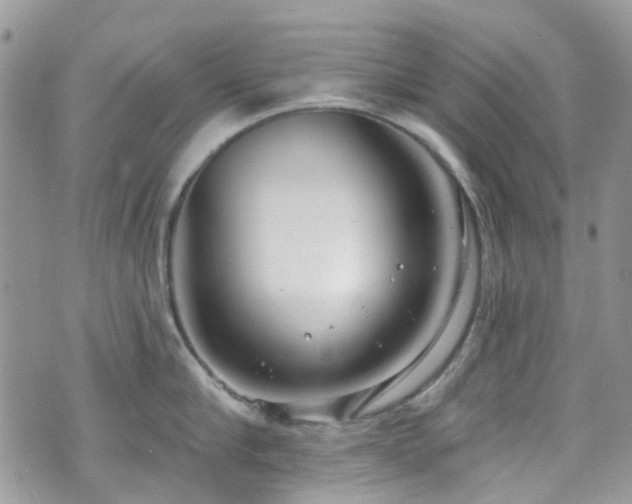 X0000070880910200606191312